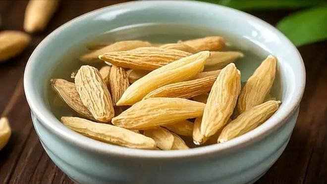 世界杯一鸣惊人!18岁边锋引米兰关注,伊布力荐,罗马竞争